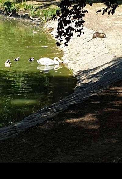 Was macht ihm Angst?-Beitrag-Bild