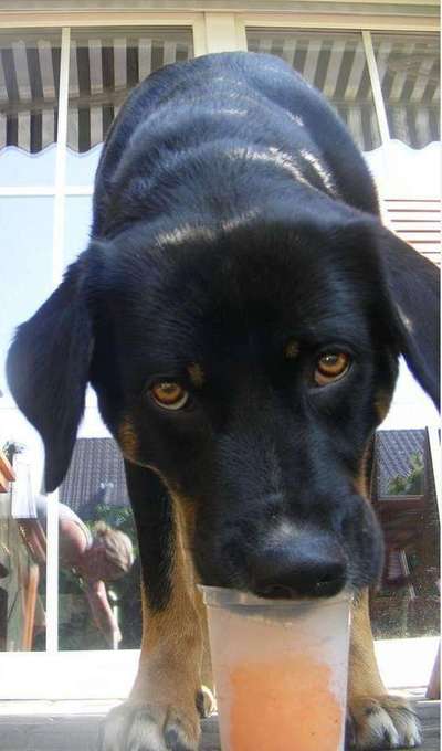 25. Farben Fotochallenge ,,Bernstein"-Beitrag-Bild