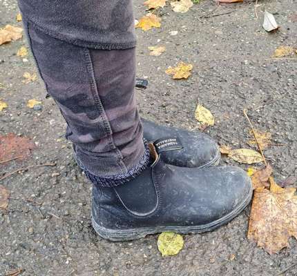 Schuhe zum Gassi gehen-Beitrag-Bild