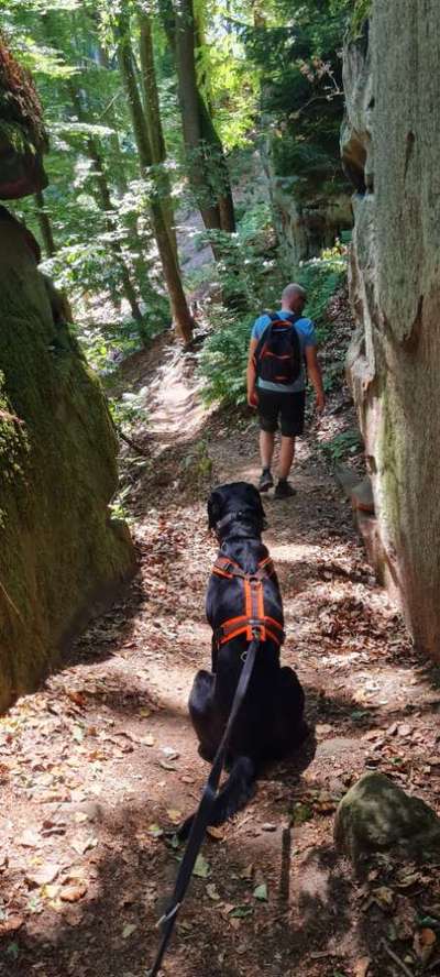 Dogorama Foto Challenge - Wanderziel-Beitrag-Bild