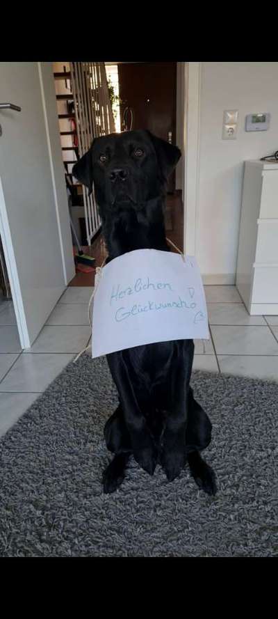 25. Handy Foto Challenge-Beitrag-Bild