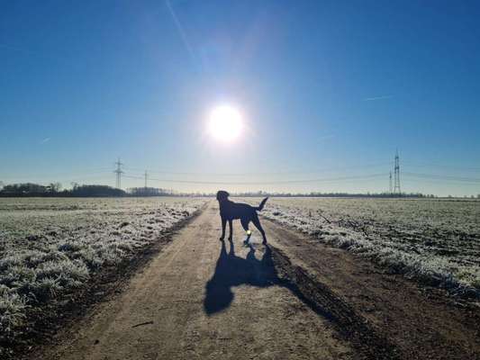 Farben Fotochallenge Sonnenlicht-Beitrag-Bild
