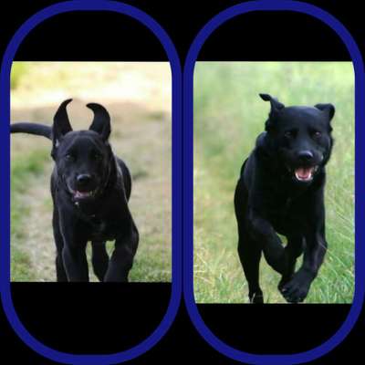 28. Handy-Fotochallenge - Damals und heute-Beitrag-Bild