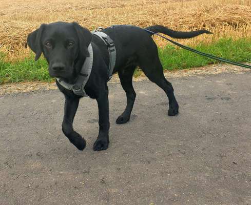 13. Farben-Fotochallenge "Grau"-Beitrag-Bild