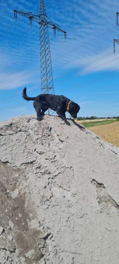 Fotochallenge Nr 107-Beitrag-Bild