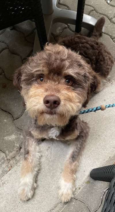 Theos Fotochallange Nummer 4-Beitrag-Bild