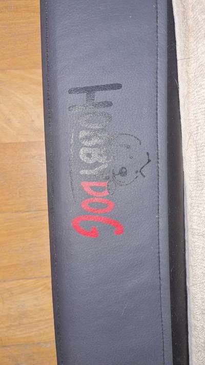 Hundebetten - Erfahrungen?-Beitrag-Bild