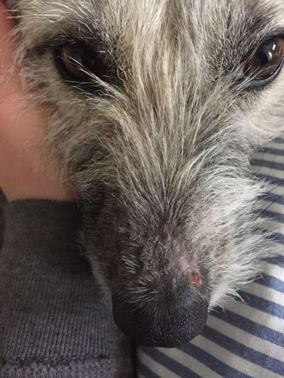 Medizinische Hilfe bei Hautproblem-Beitrag-Bild