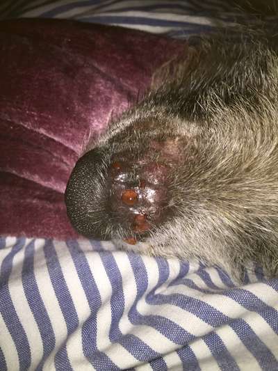 Medizinische Hilfe bei Hautproblem-Beitrag-Bild