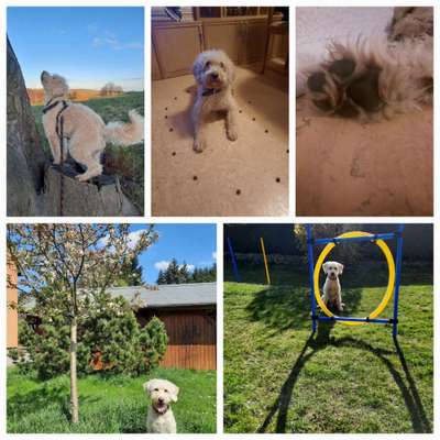 32. Collagen Challenge - eure liebsten gestellten Fotos-Beitrag-Bild