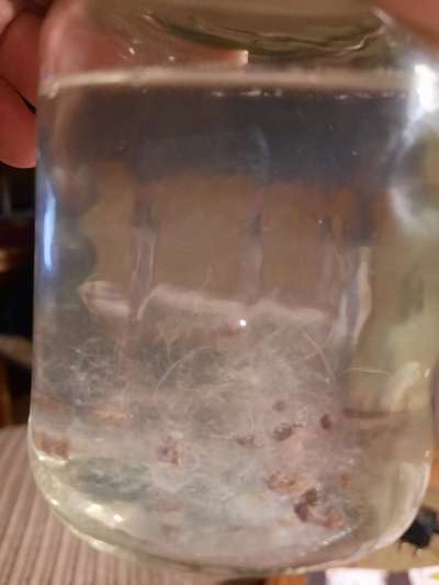 Freundschaftsanfragen-Beitrag-Bild