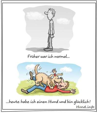 Hunde Memes-Beitrag-Bild