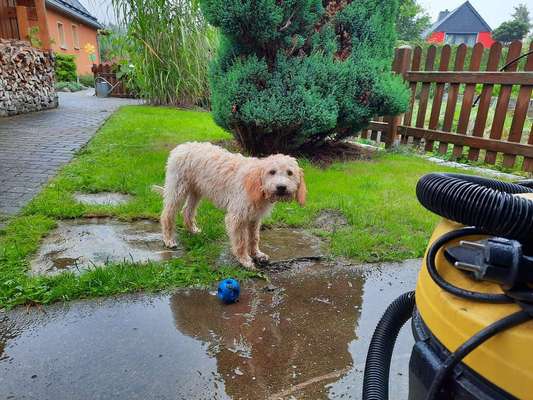 35. Handy Foto Challenge - Das nasse Element-Beitrag-Bild