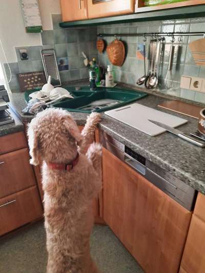 Freundschaftsanfragen-Beitrag-Bild