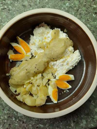 Zeigt her Eure Futternäpfe-Beitrag-Bild