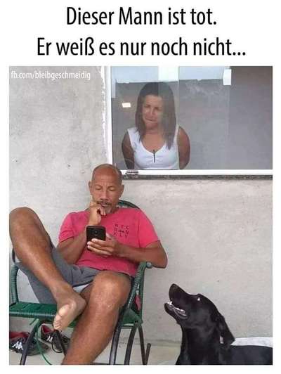 Hunde Memes-Beitrag-Bild