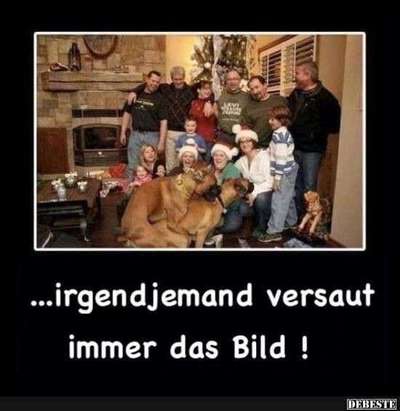 Hunde Memes-Beitrag-Bild