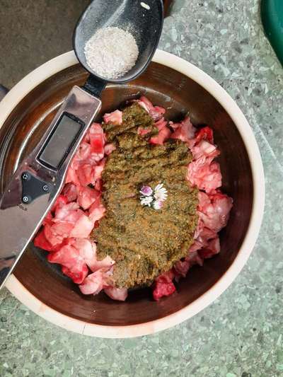 Zeigt her Eure Futternäpfe-Beitrag-Bild