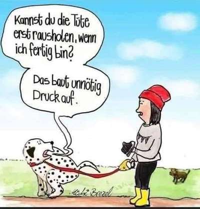 Hunde Memes-Beitrag-Bild