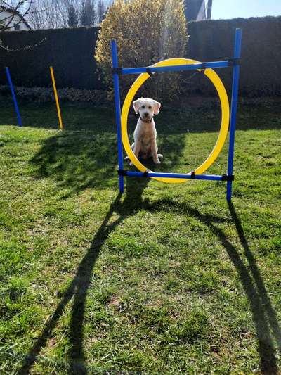 Fotowettbewerb zum Thema "Sonne"-Beitrag-Bild