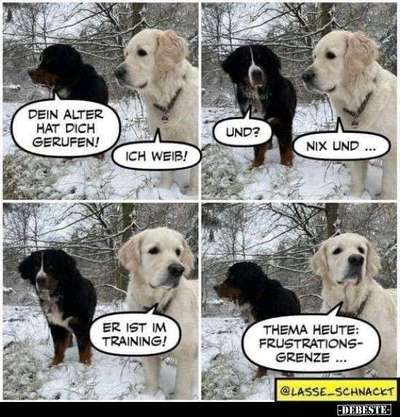 Hunde Memes-Beitrag-Bild