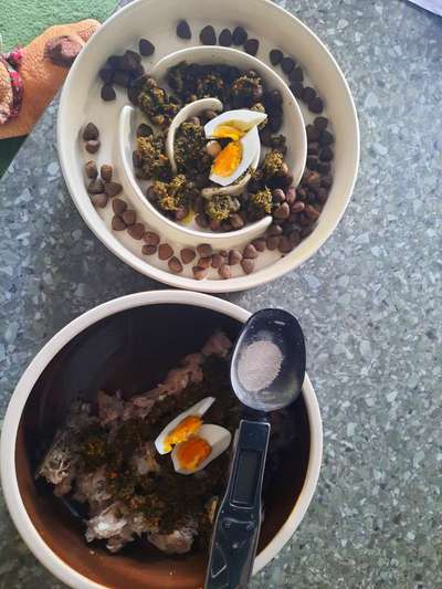 Zeigt her Eure Futternäpfe-Beitrag-Bild