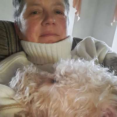 Hundetreffen-Hundetreffen im Pulsnitztal