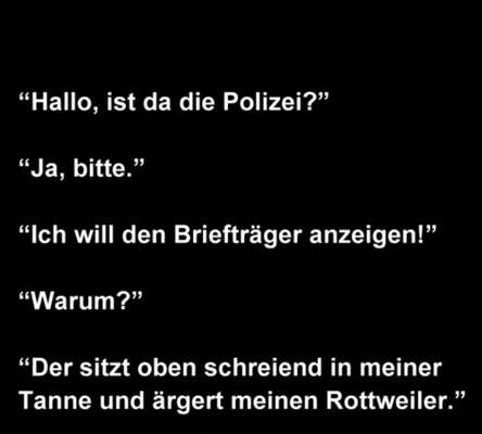 Hunde Memes-Beitrag-Bild