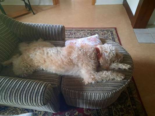 Lustige Eigenheiten-Beitrag-Bild