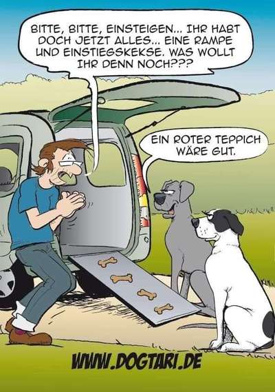 Hunde Memes-Beitrag-Bild