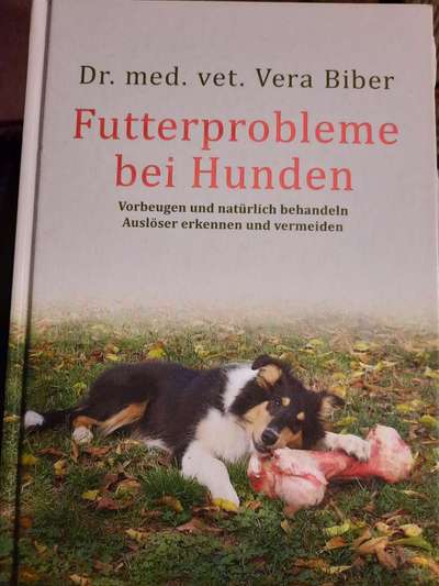 Barfen, wie macht ihr es?-Beitrag-Bild