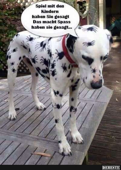 Hunde Memes-Beitrag-Bild