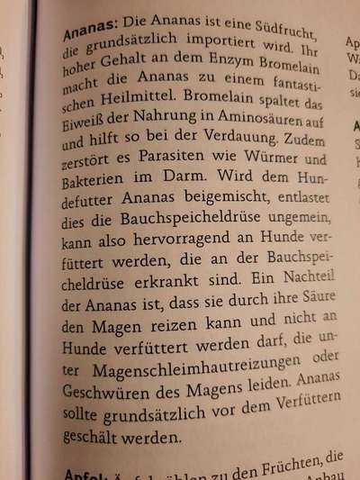 Zeigt her Eure Futternäpfe-Beitrag-Bild