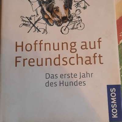 "Wege zur Freundschaft" (Ulli Reichmann)-Beitrag-Bild