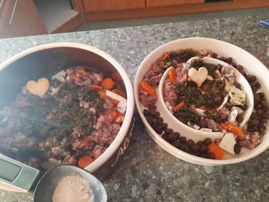 Zeigt her Eure Futternäpfe-Beitrag-Bild