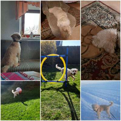 22. Collagen Challenge- Lebensfreude-Beitrag-Bild