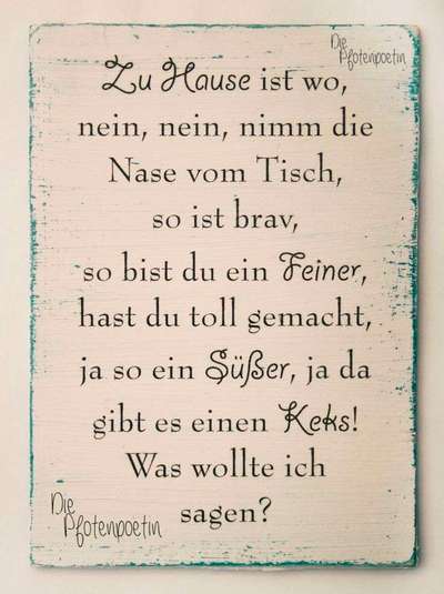 Hunde Memes-Beitrag-Bild