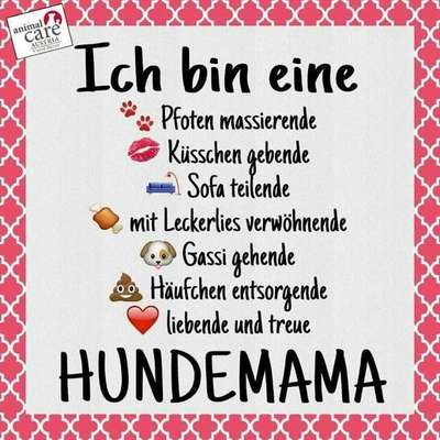 Hunde Memes-Beitrag-Bild