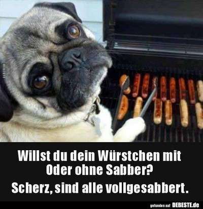 Hunde Memes-Beitrag-Bild