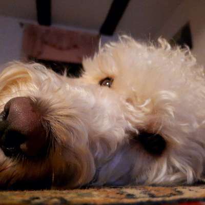 Nahaufnahme-Beitrag-Bild