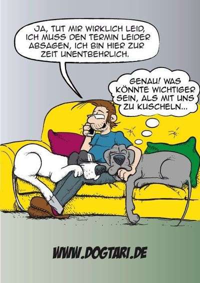 Hunde Memes-Beitrag-Bild