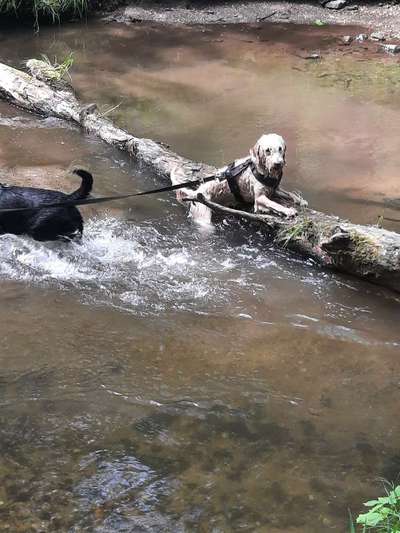 Freundschaftsanfragen-Beitrag-Bild