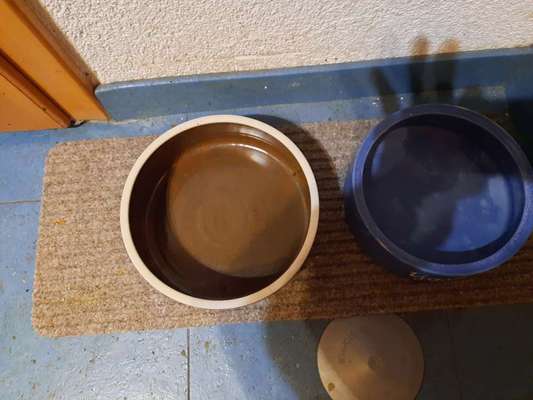 Zeigt her Eure Futternäpfe-Beitrag-Bild