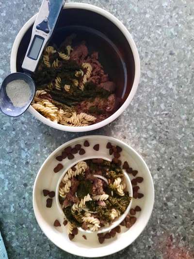 Zeigt her Eure Futternäpfe-Beitrag-Bild