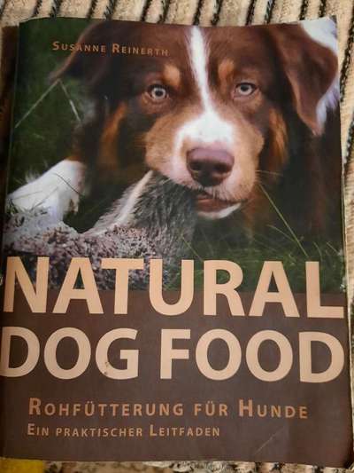 Barfen, wie macht ihr es?-Beitrag-Bild