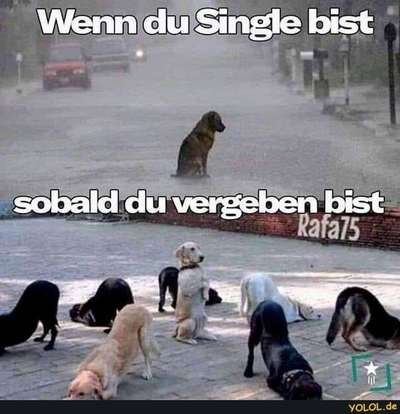 Freundschaftsanfragen-Beitrag-Bild