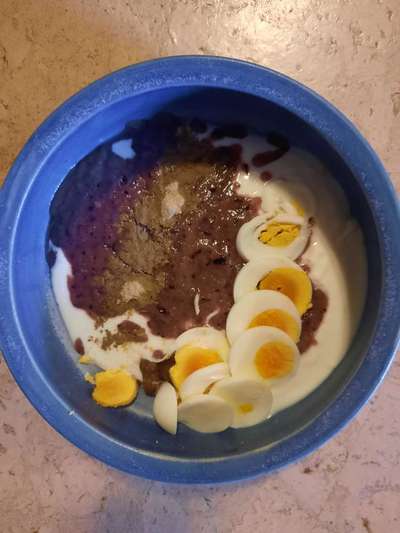 Zeigt her Eure Futternäpfe-Beitrag-Bild