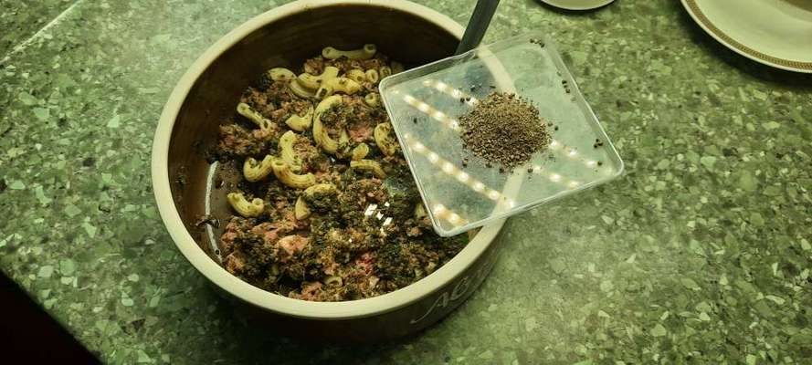 Zeigt her Eure Futternäpfe-Beitrag-Bild