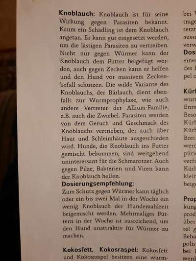 Zecken finden - Tipps und Tricks-Beitrag-Bild