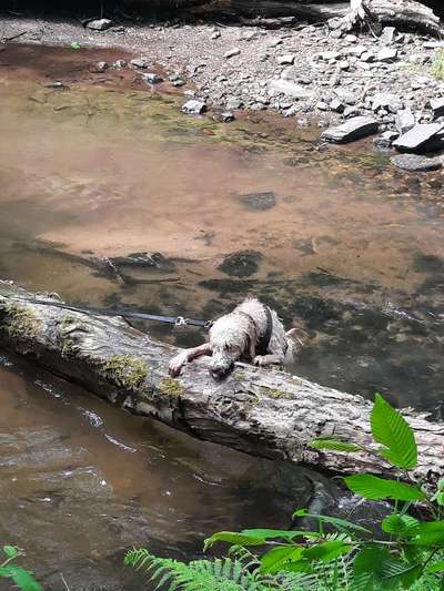 Freundschaftsanfragen-Beitrag-Bild